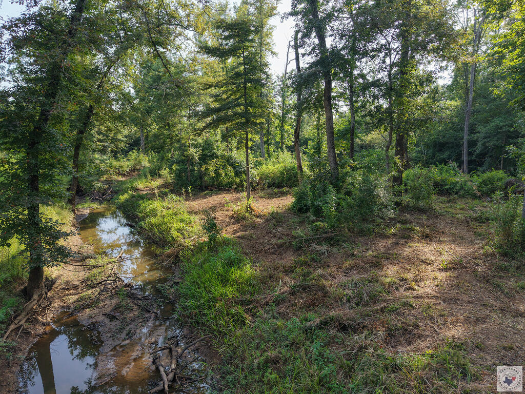 0000 Cr 1778 Property Photo 19