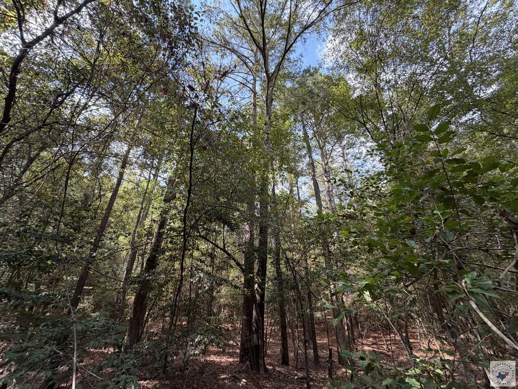Tbd Fm 130 Property Photo 1