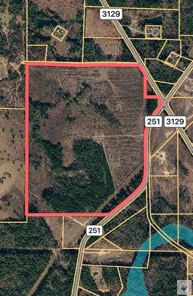 Tbd Fm 251 N Property Photo 3
