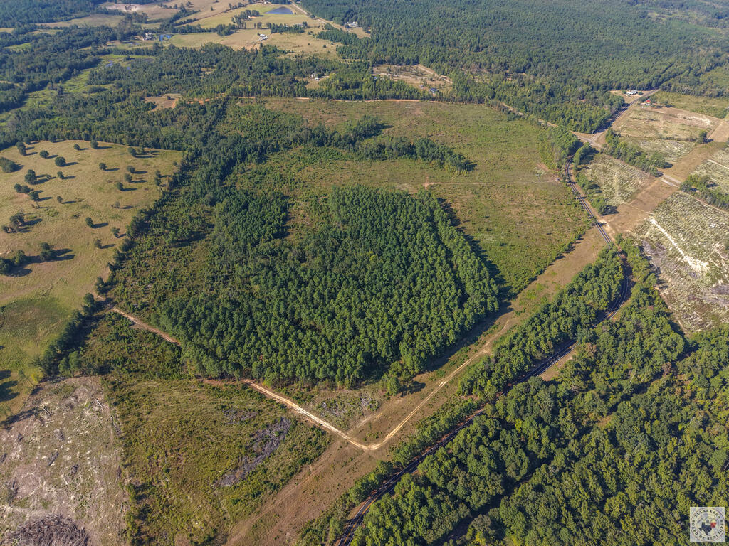 Tbd Fm 251 N Property Photo 4