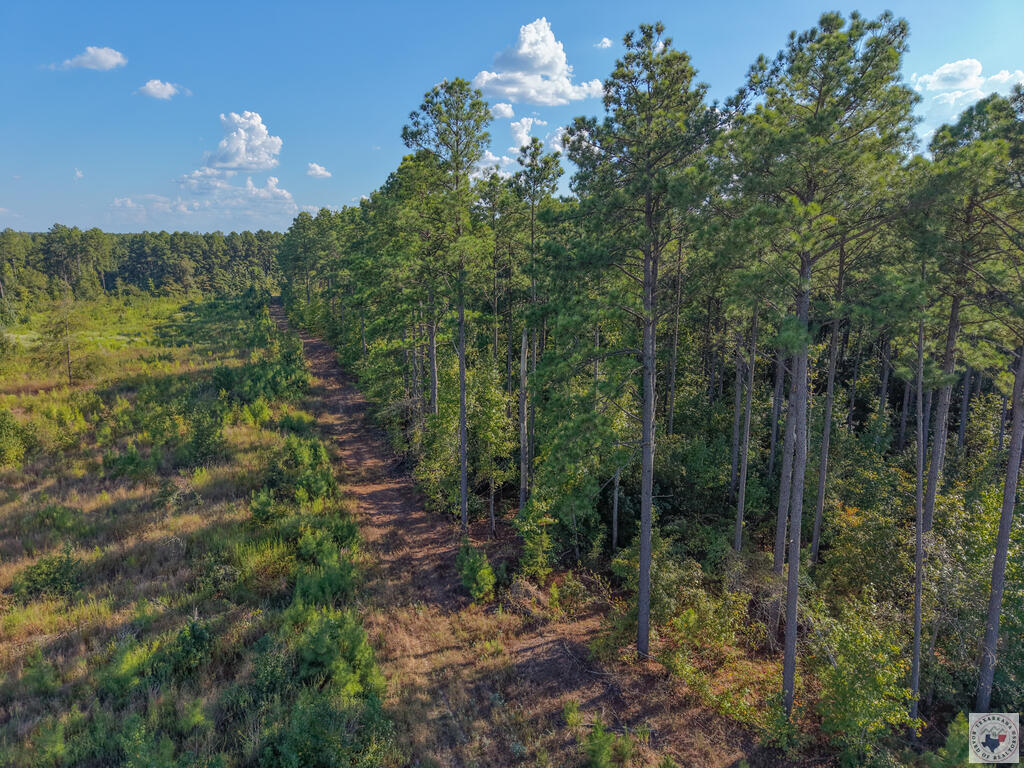 Tbd Fm 251 N Property Photo 5