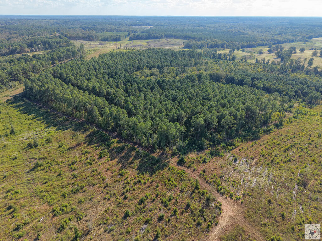 Tbd Fm 251 N Property Photo 6