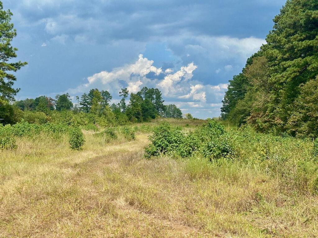 Tbd Fm 251 N Property Photo 7