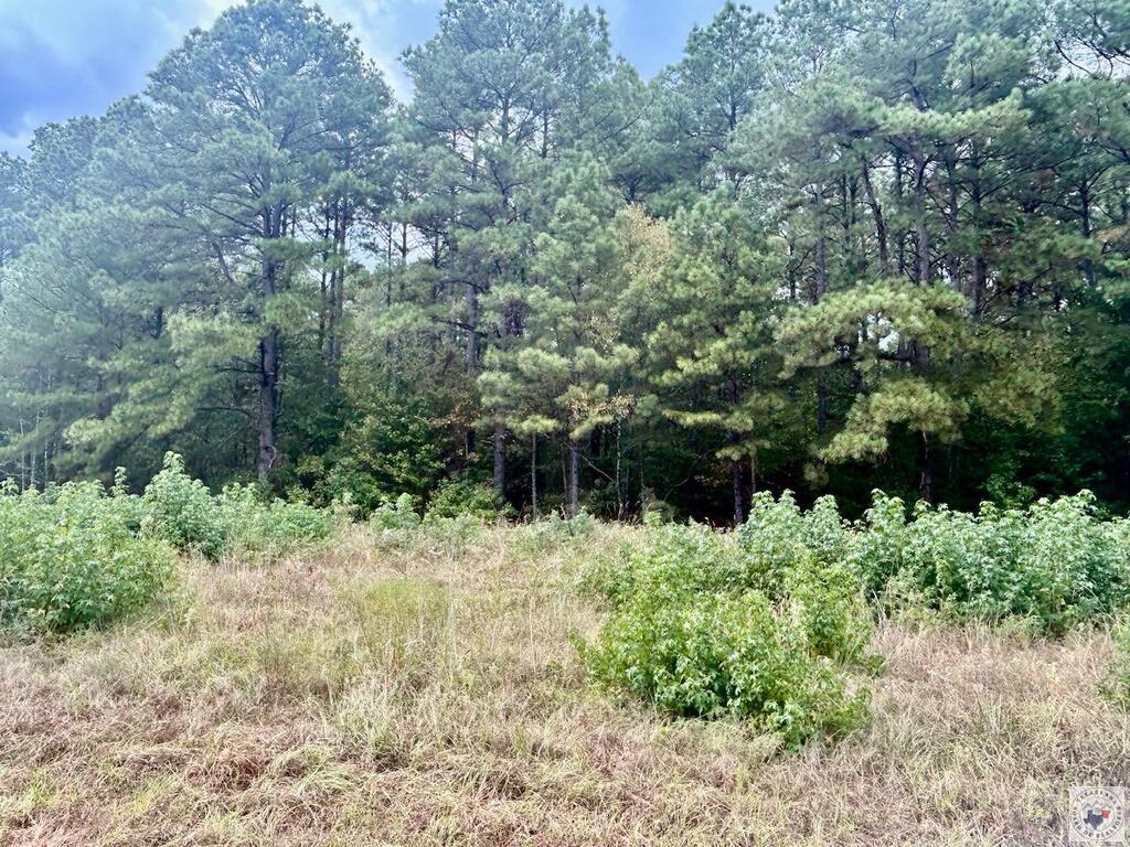 Tbd Fm 251 N Property Photo 10