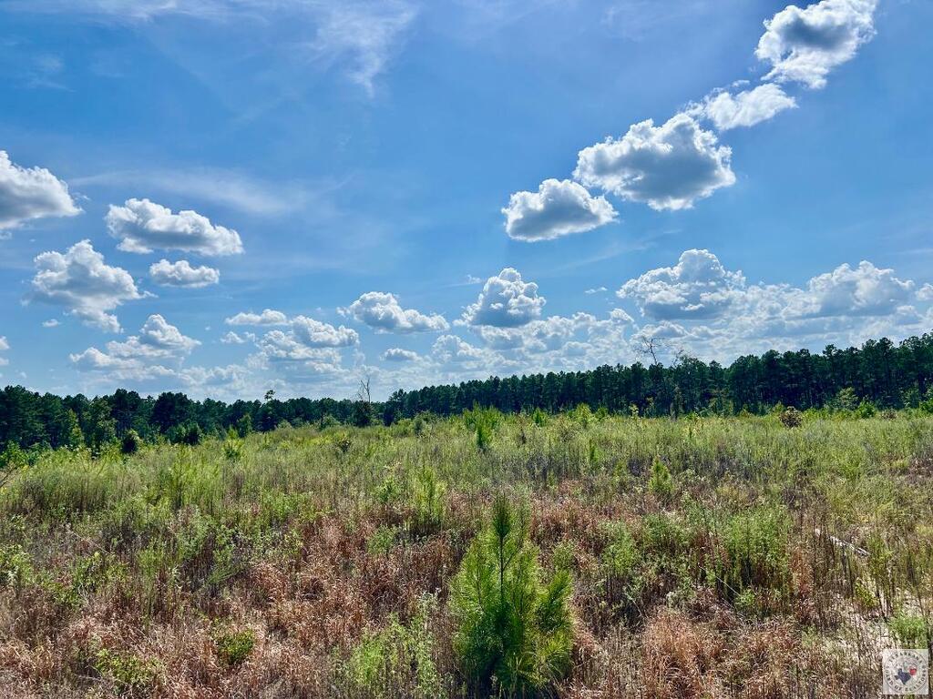 Tbd Fm 251 N Property Photo 13