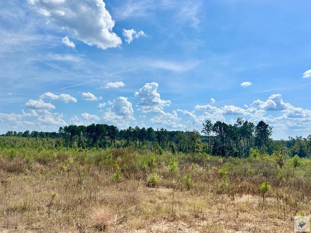 Tbd Fm 251 N Property Photo 14
