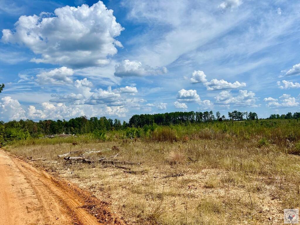 Tbd Fm 251 N Property Photo 15