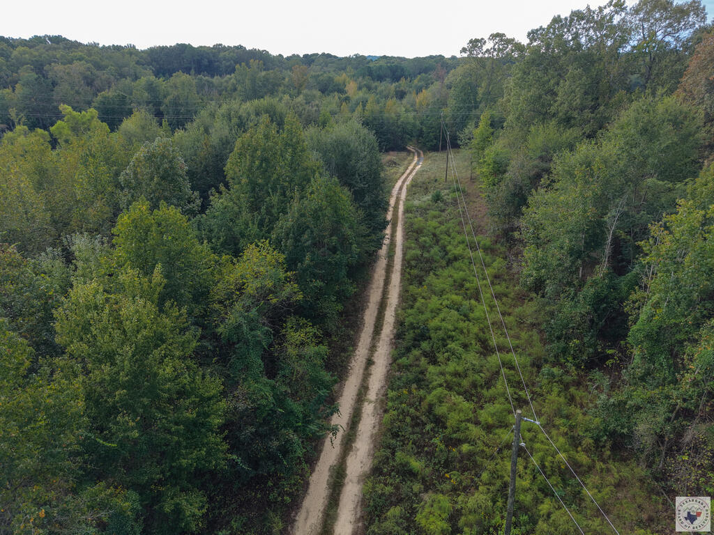 1615 County Road 3544 Property Photo 5