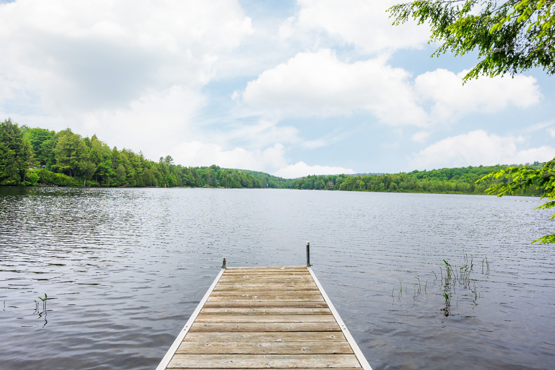 2093 Ch. De Dunany Property Photo 4