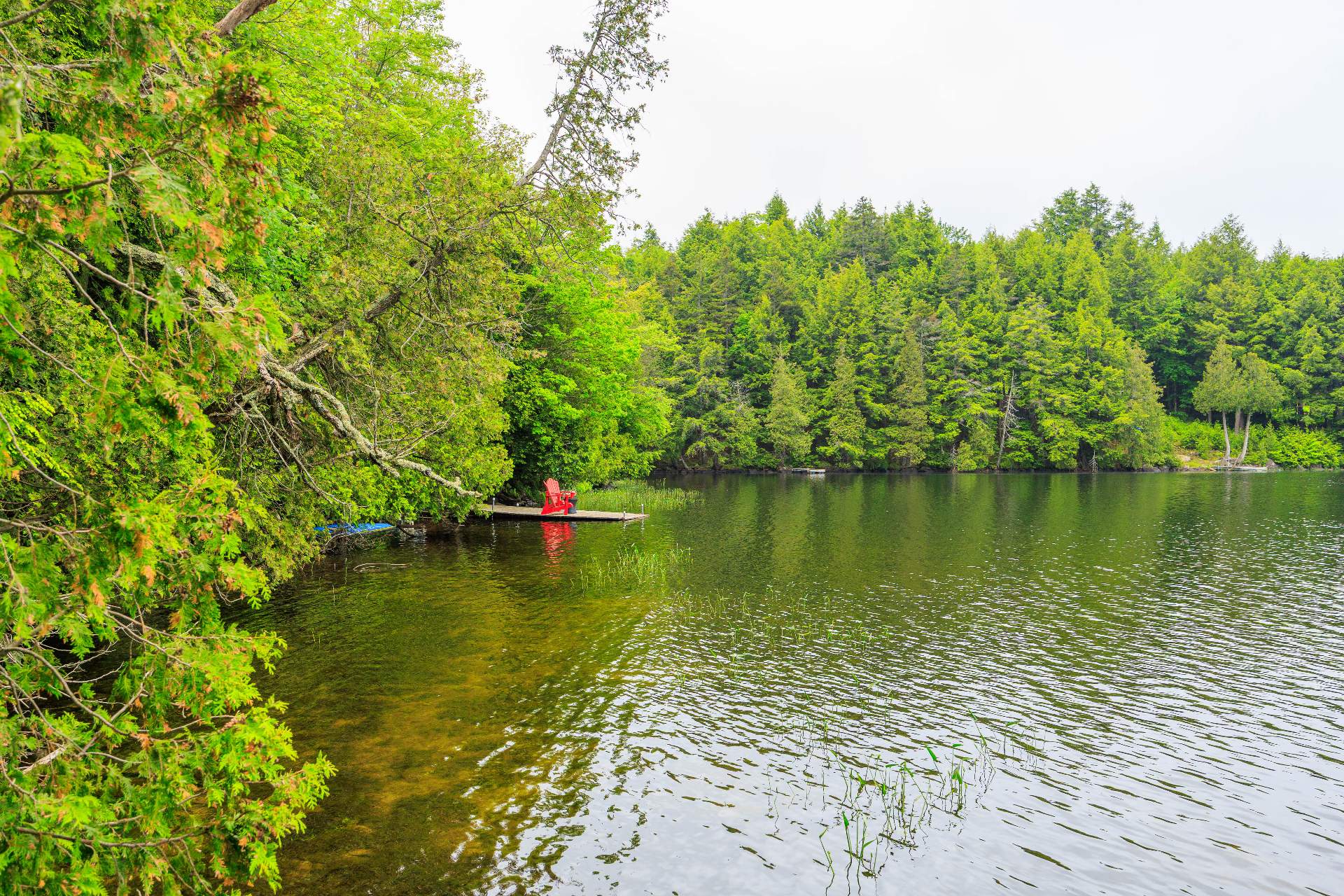 2093 Ch. De Dunany Property Photo 6