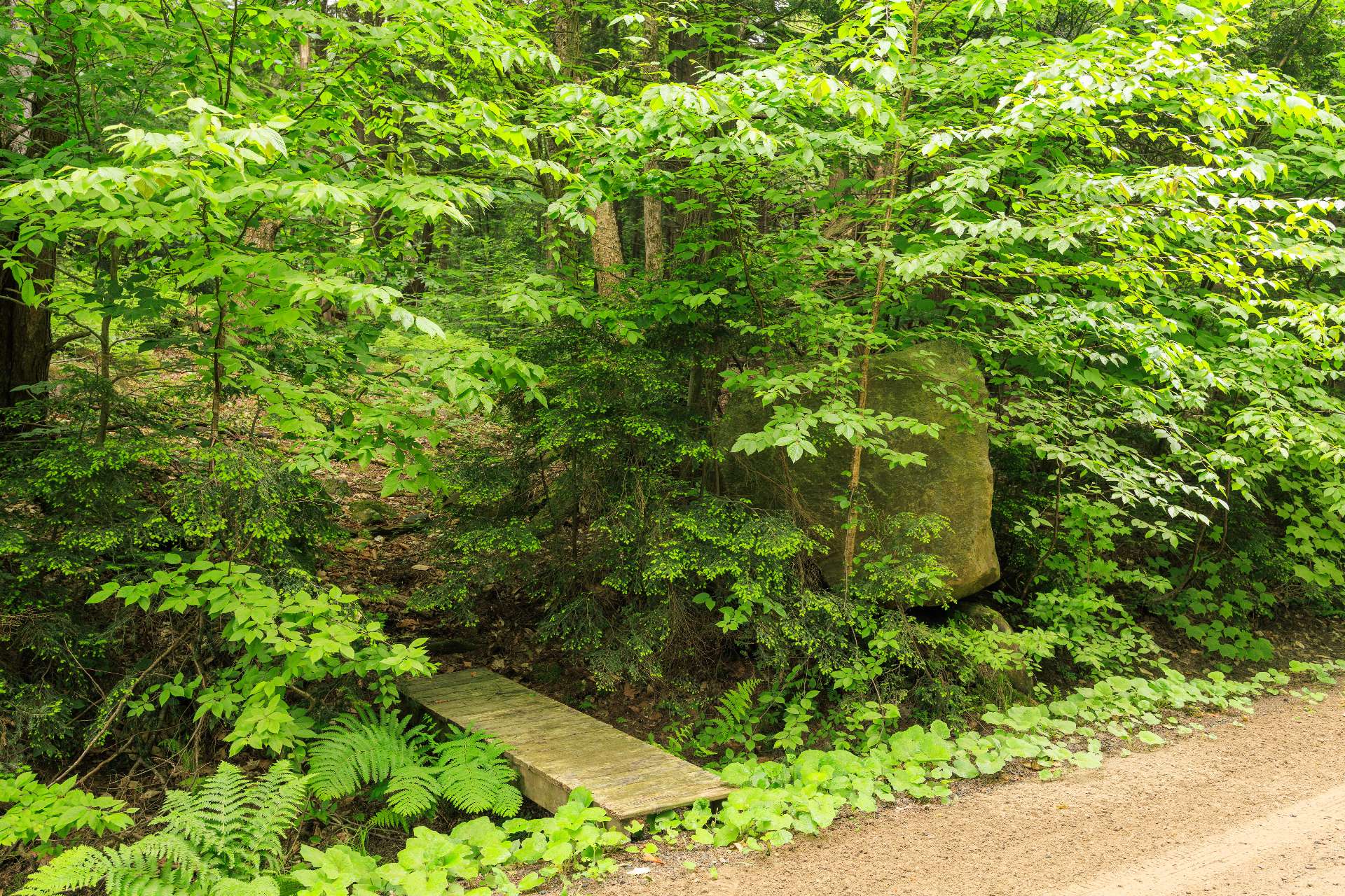 2093 Ch. De Dunany Property Photo 35