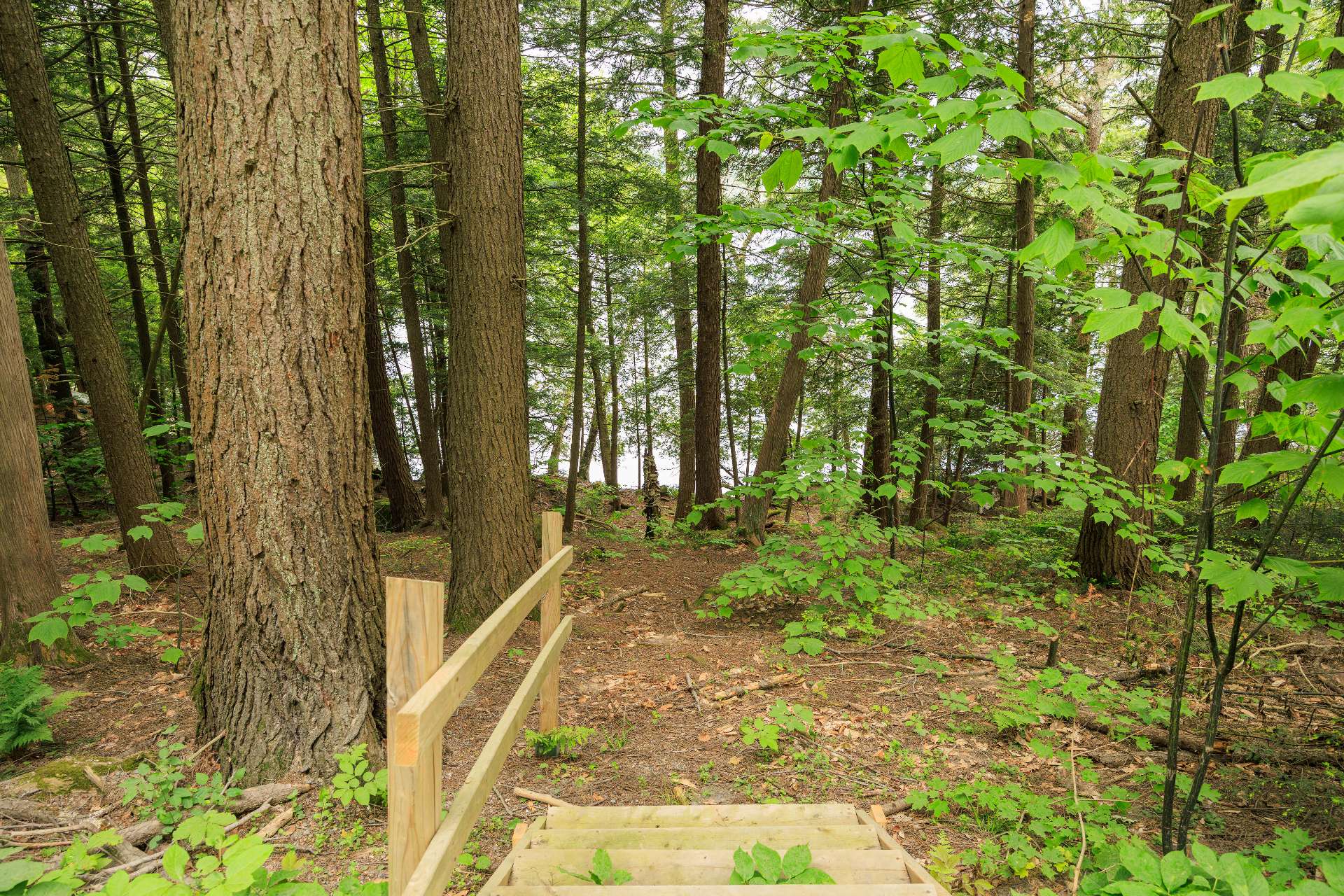 2093 Ch. De Dunany Property Photo 37