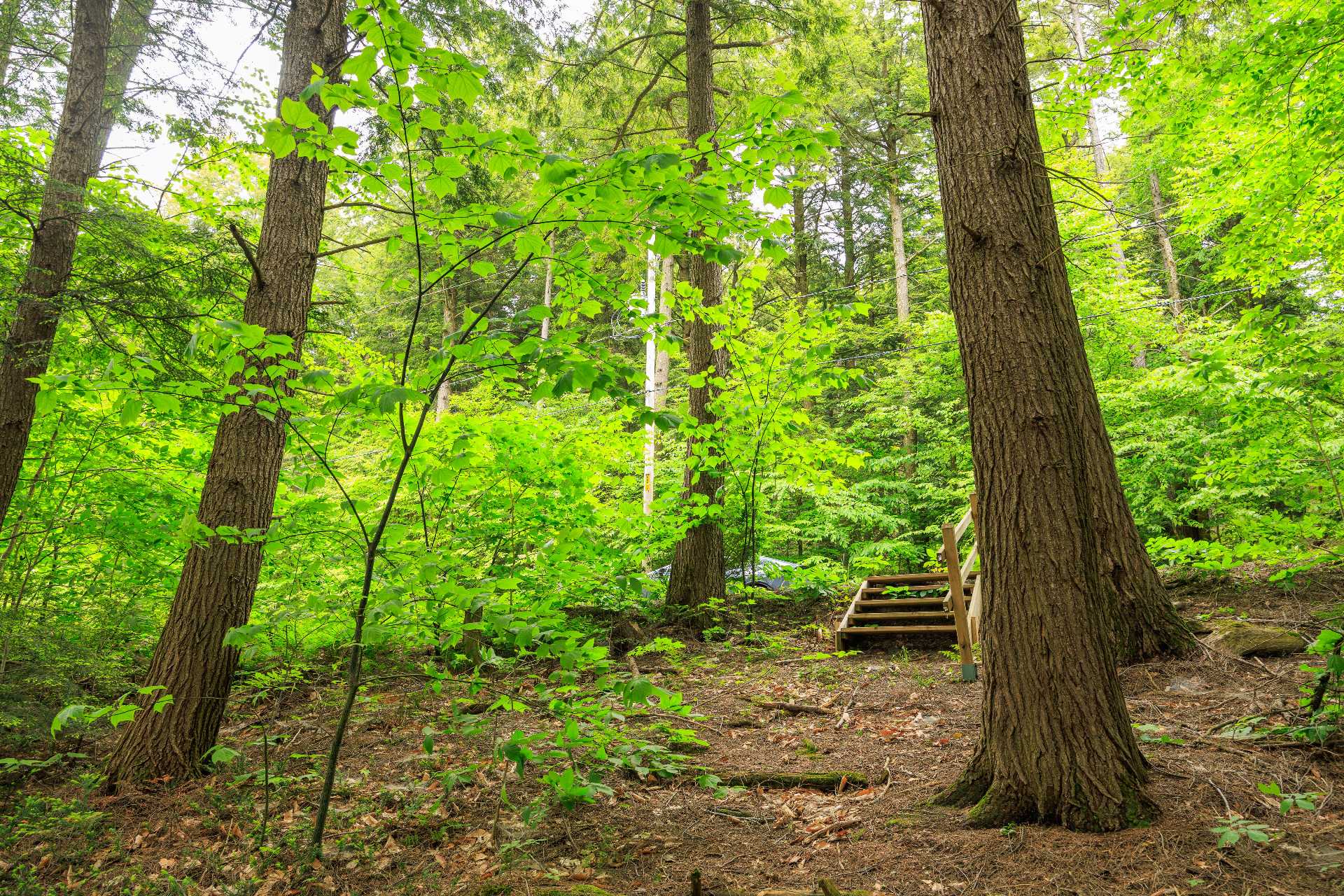 2093 Ch. De Dunany Property Photo 38