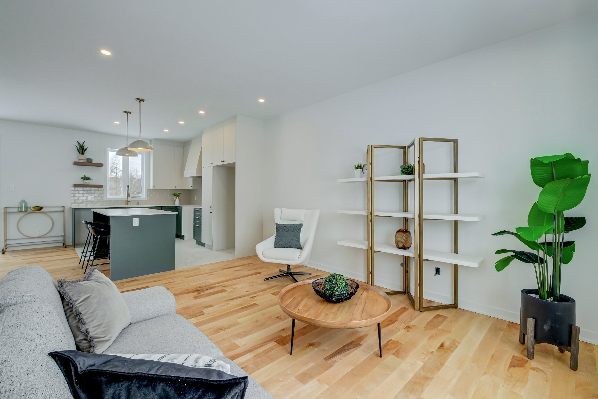 110 Rue Pierre-gauvreau Property Photo 4