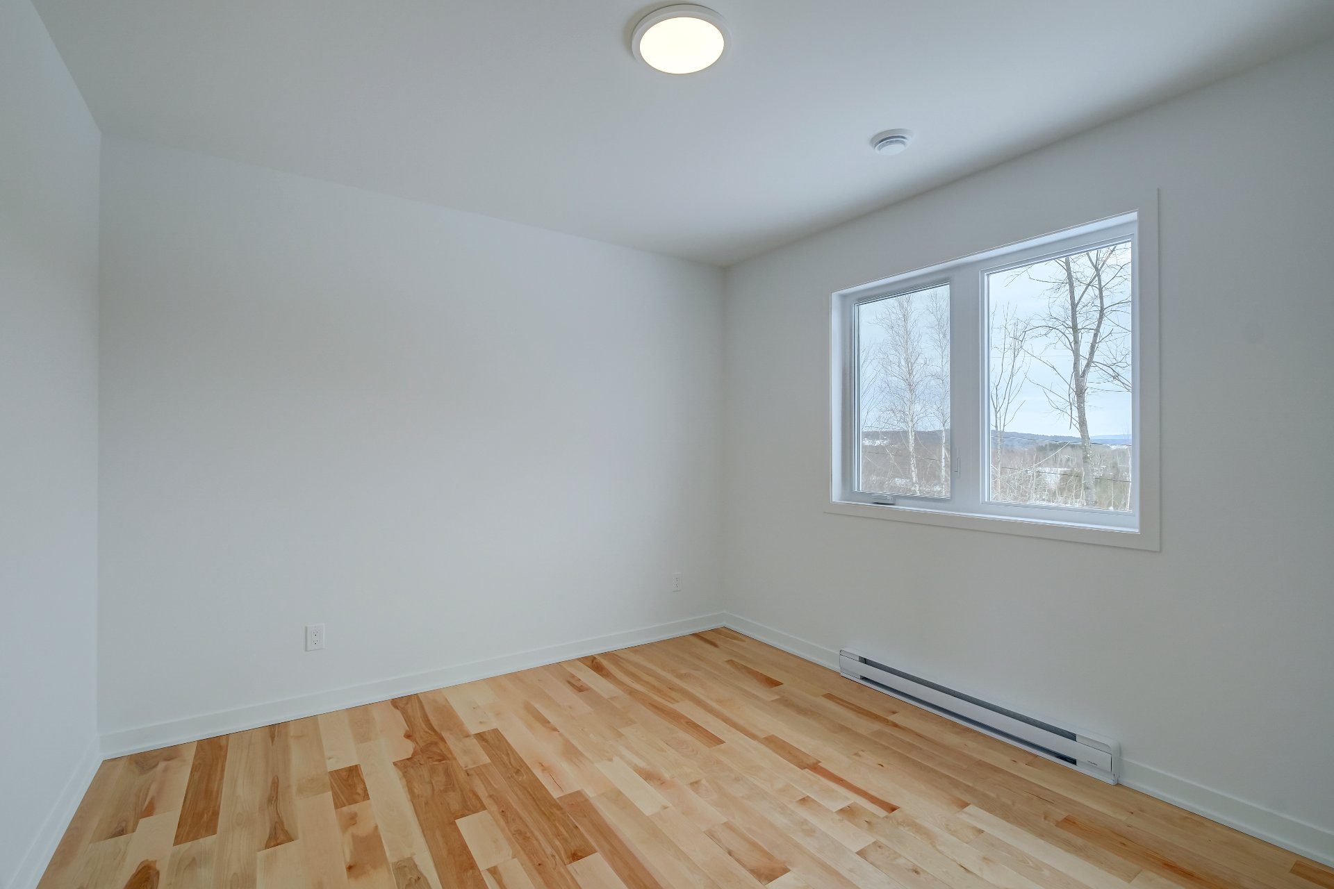 110 Rue Pierre-gauvreau Property Photo 26