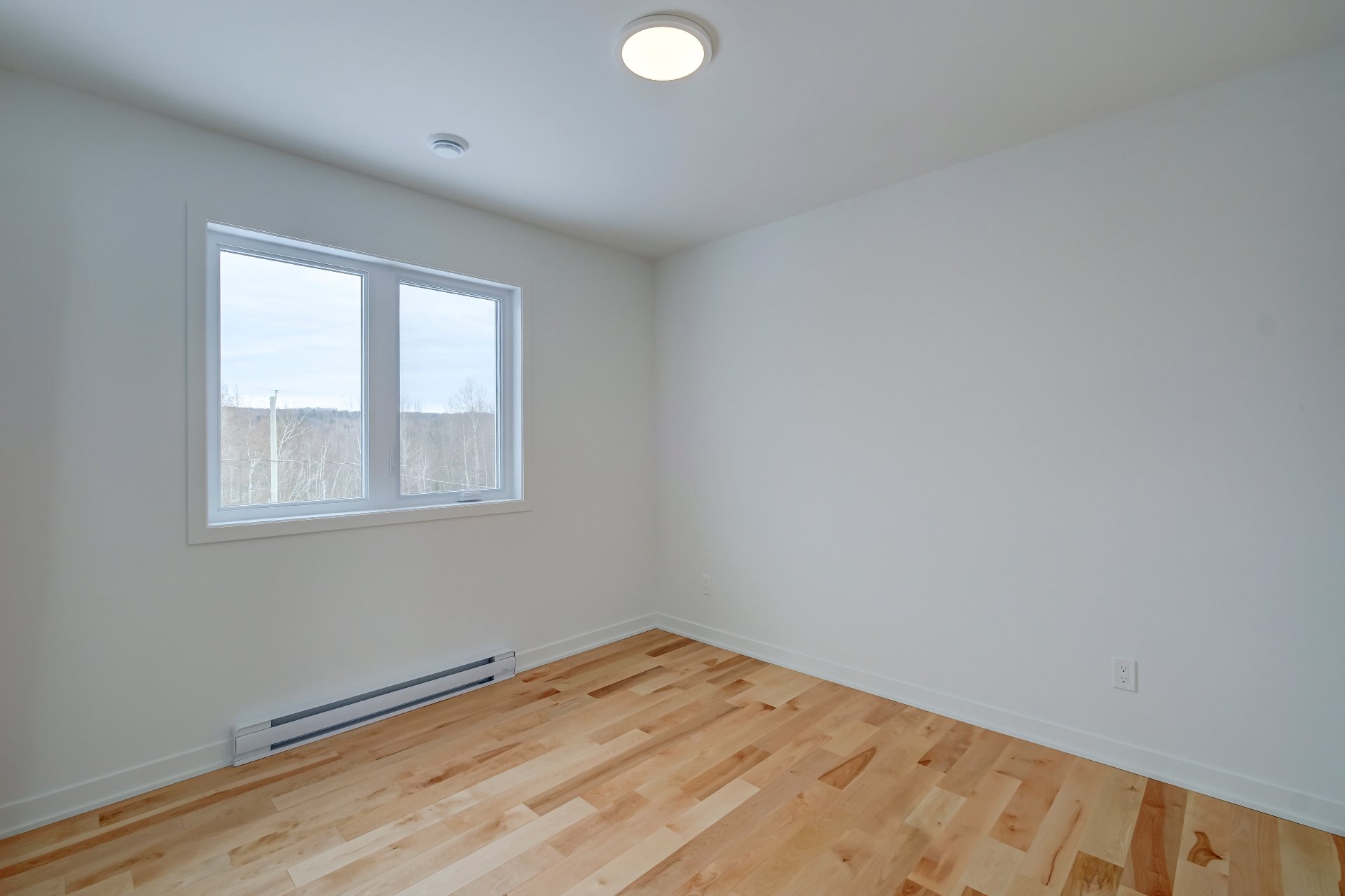 110 Rue Pierre-gauvreau Property Photo 27