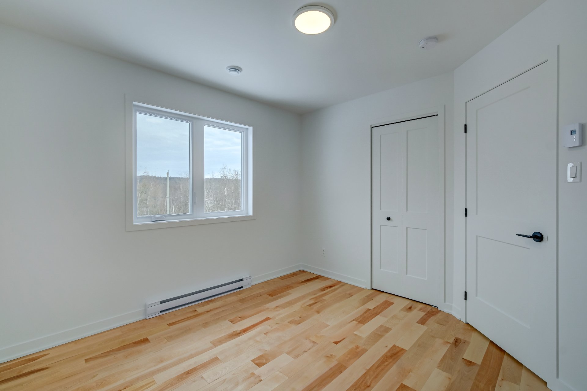 110 Rue Pierre-gauvreau Property Photo 28