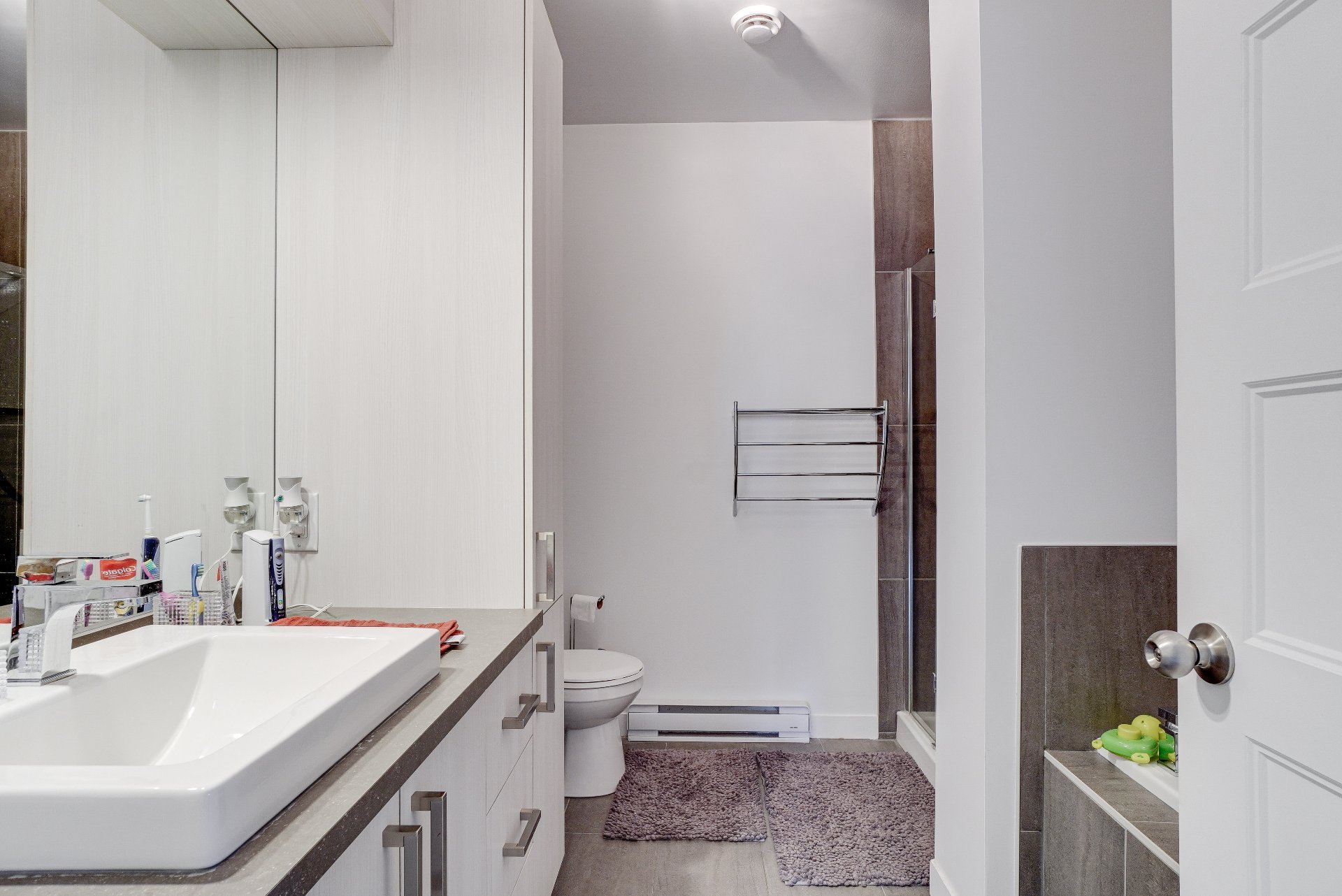 33 Rue Du Campagnol Property Photo 17