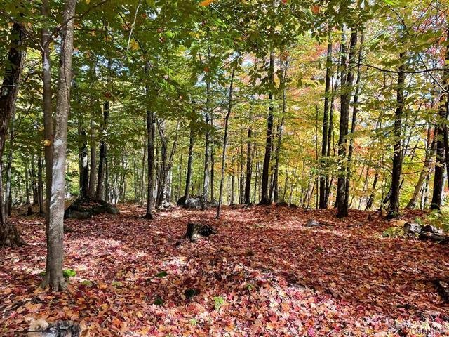 Ch. Des Cumulus Property Photo 2