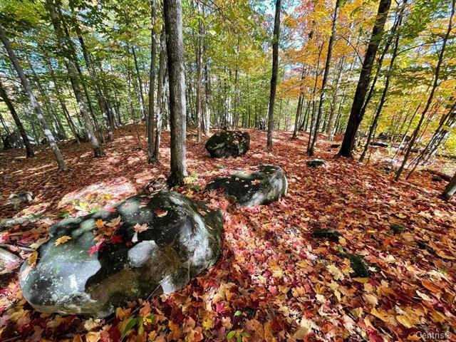 Ch. Des Cumulus Property Photo 3