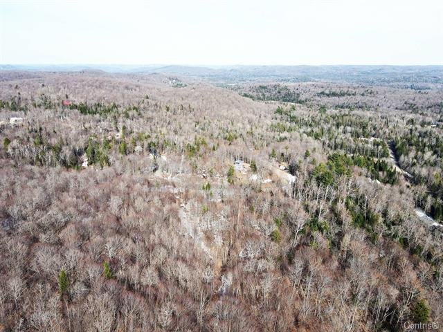 Ch. Des Cumulus Property Photo 8