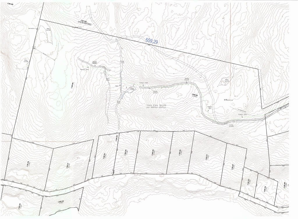 Ch. Des Cumulus Property Photo 13