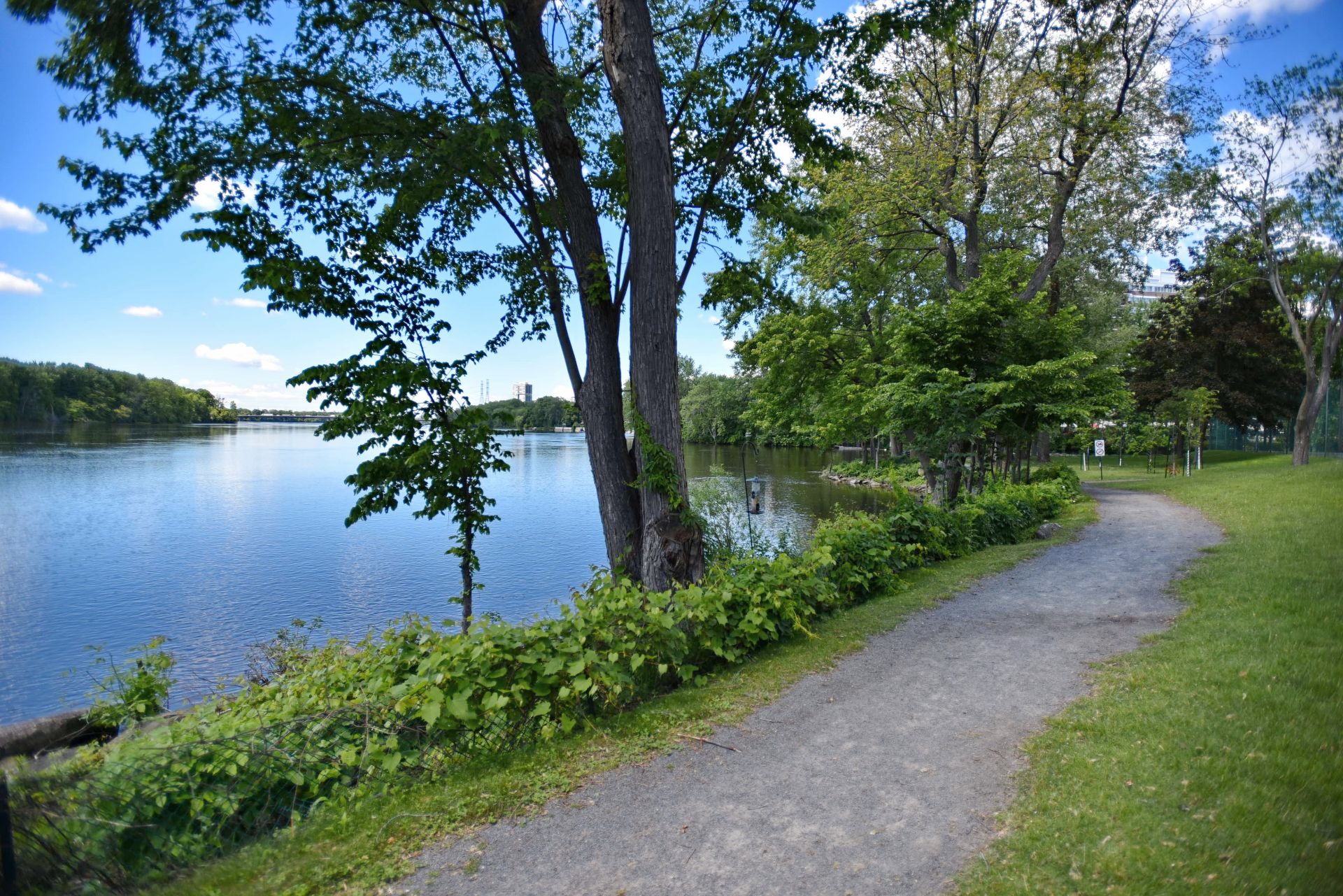 4560 Prom. Paton 318 Property Photo 39