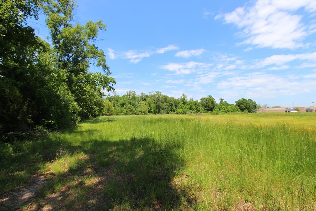 4080 Dave Ward Drive Property Photo 10