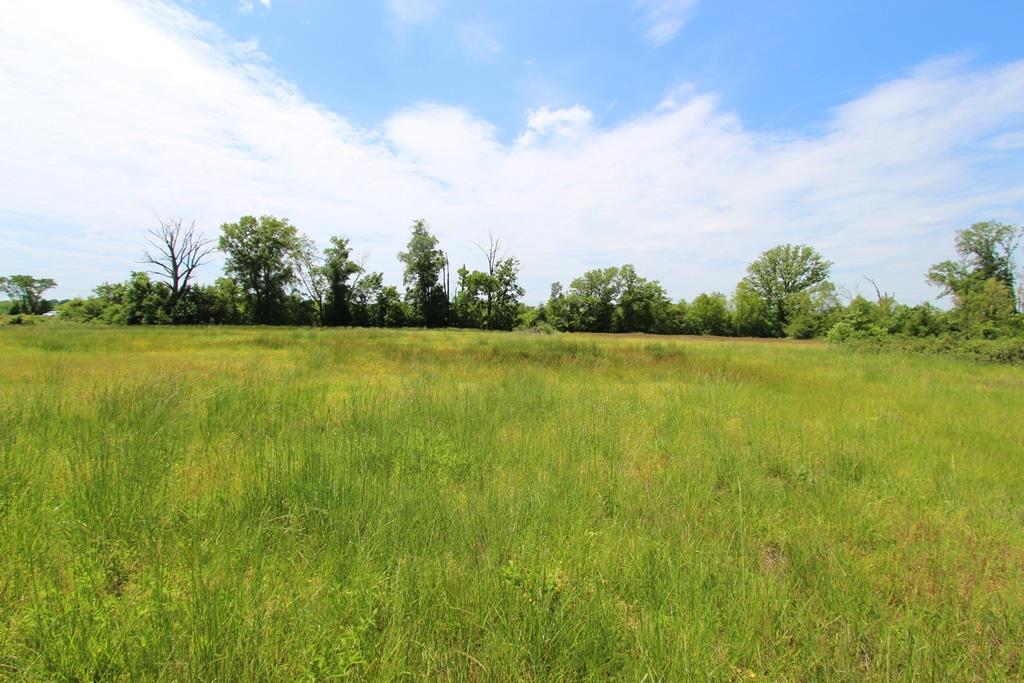 4080 Dave Ward Drive Property Photo 24