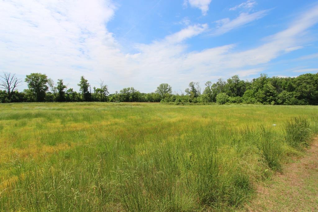 4040 Dave Ward Drive Property Photo 17
