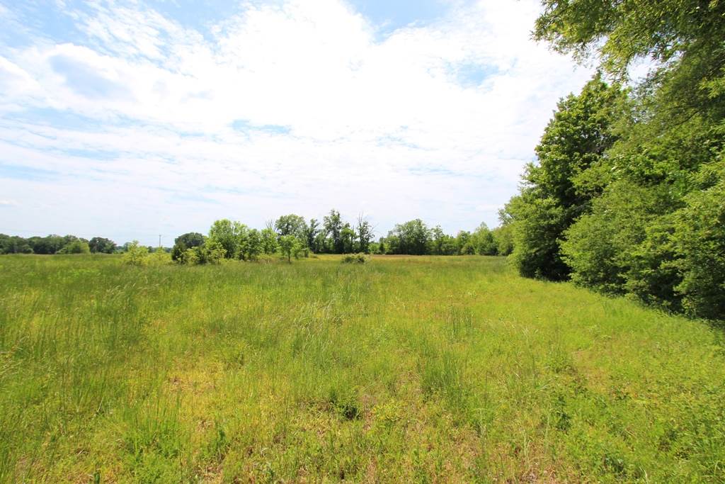 4040 Dave Ward Drive Property Photo 37