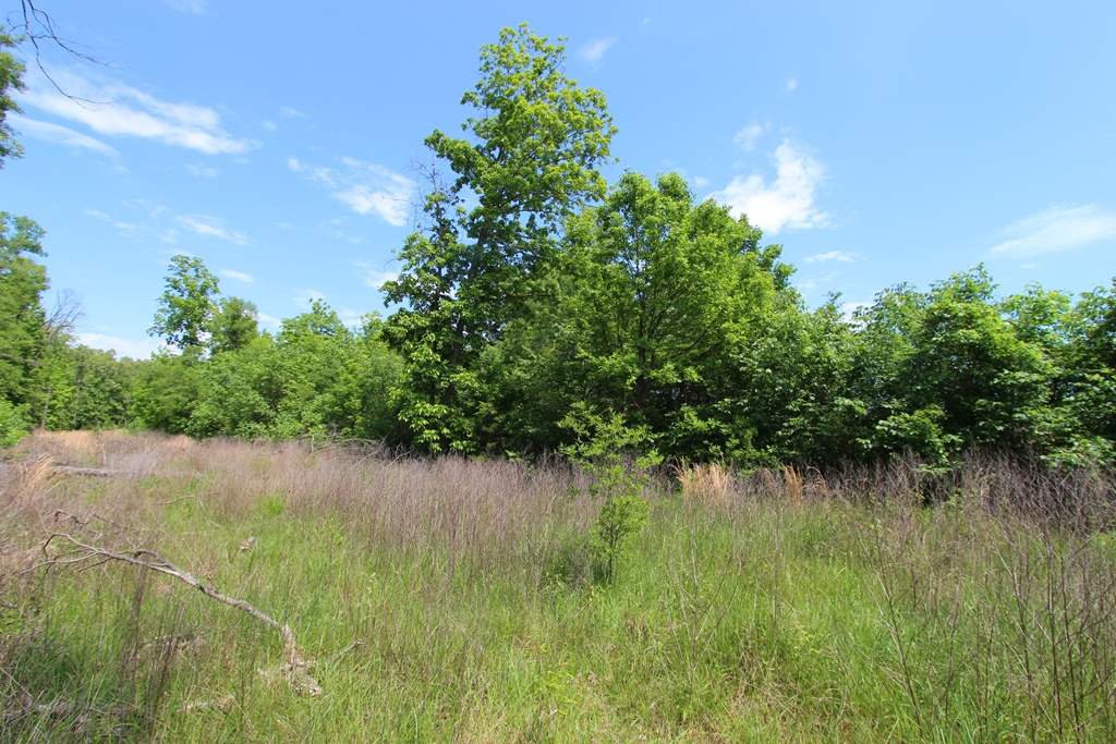 4040 Dave Ward Drive Property Photo 39