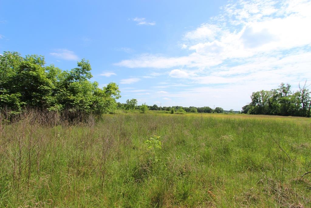 4040 Dave Ward Drive Property Photo 40