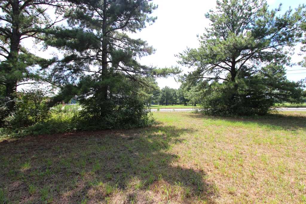 2515 E Oak Street Property Photo 29
