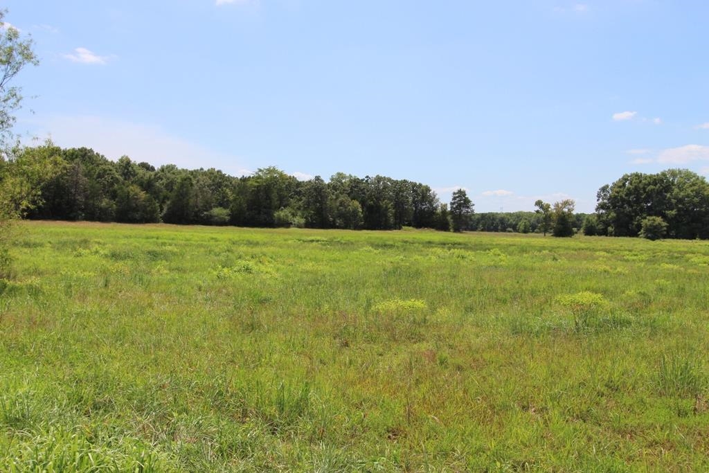 4025 Dave Ward Drive Property Photo 2