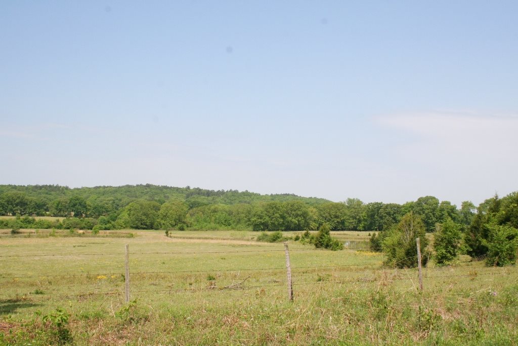 260 Sturgis Road Property Photo 8