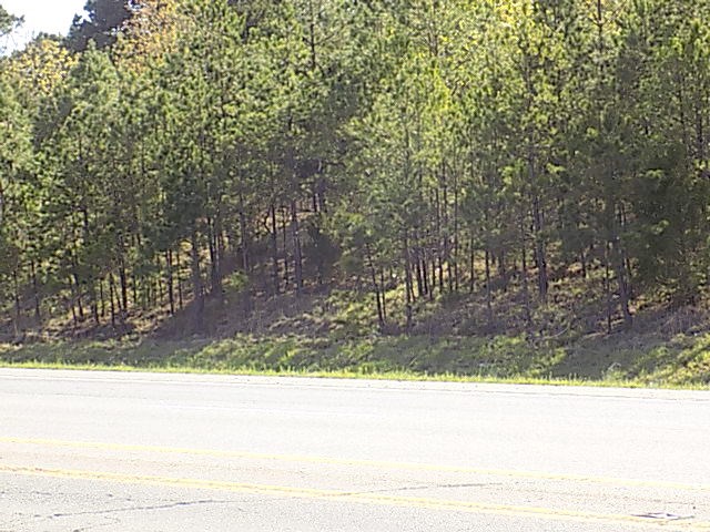Hwy 65 Property Photo 1