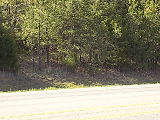 Hwy 65 Property Photo 2