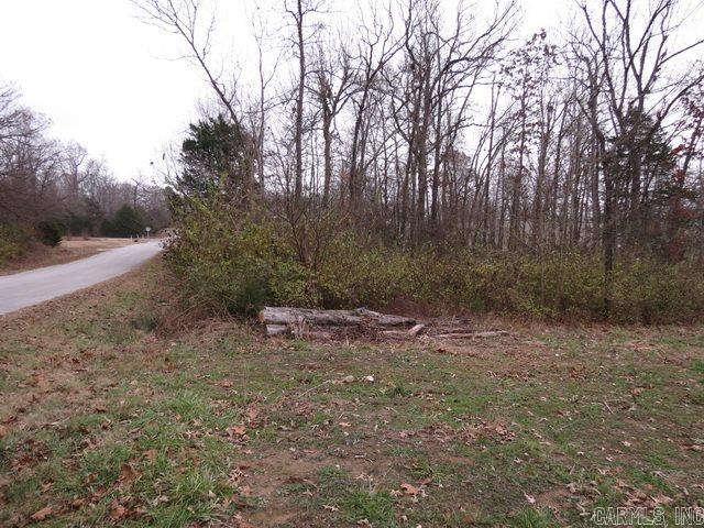 00 Maple Avenue Property Photo 1