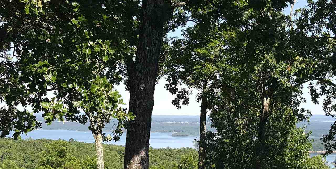 121 Osage Point Dr. Property Photo 2