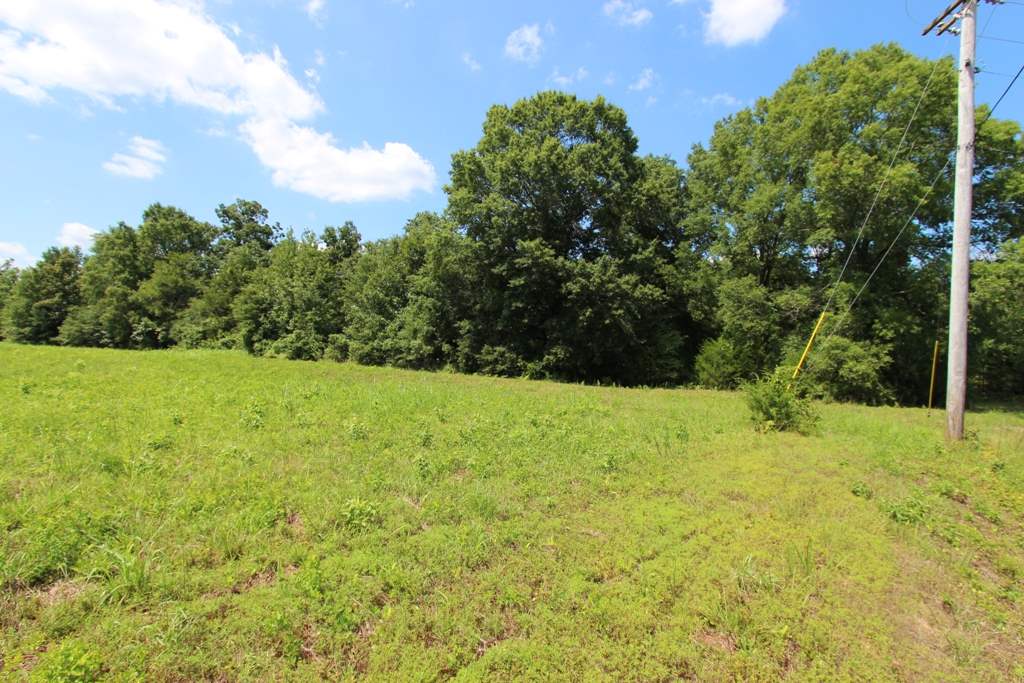 4050 Dave Ward Drive Property Photo 13