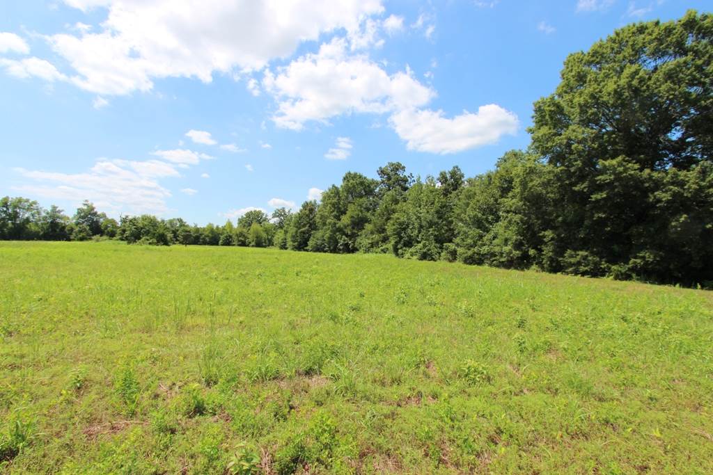 4050 Dave Ward Drive Property Photo 14