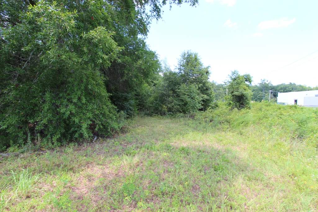 4050 Dave Ward Drive Property Photo 20