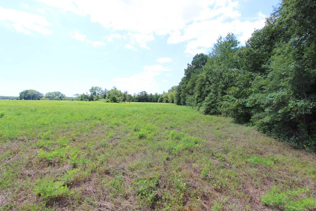 4050 Dave Ward Drive Property Photo 21