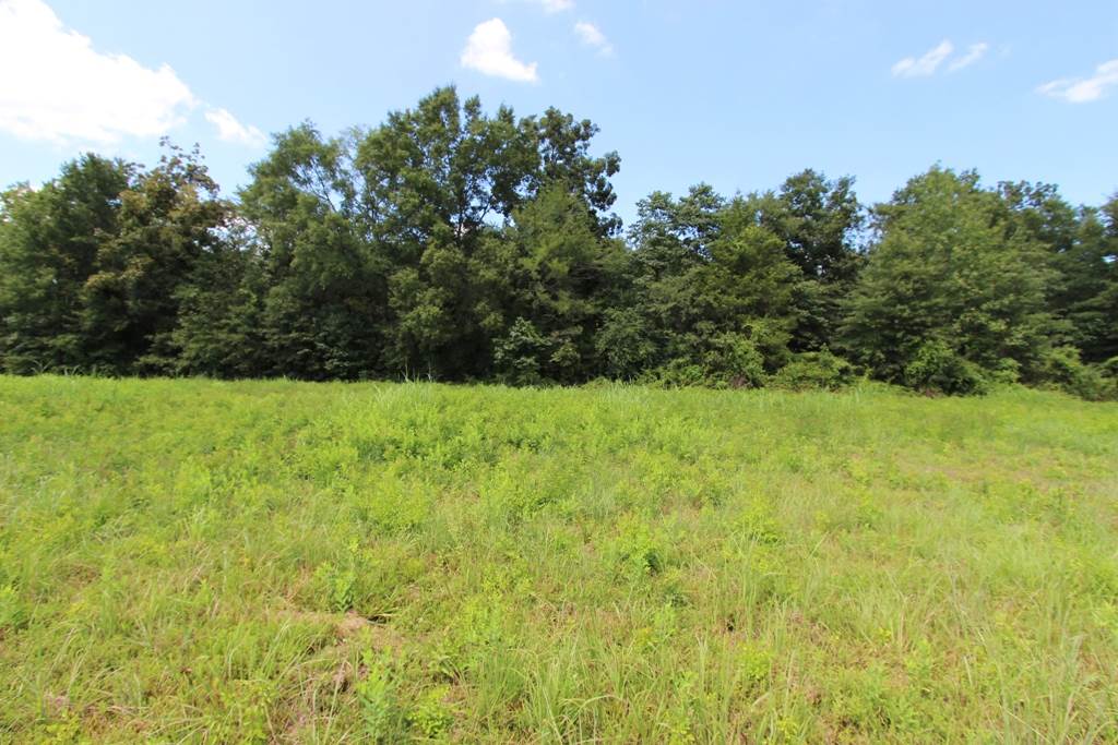 4050 Dave Ward Drive Property Photo 26