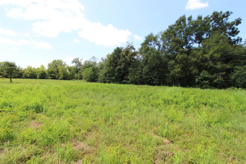 4050 Dave Ward Drive Property Photo 27