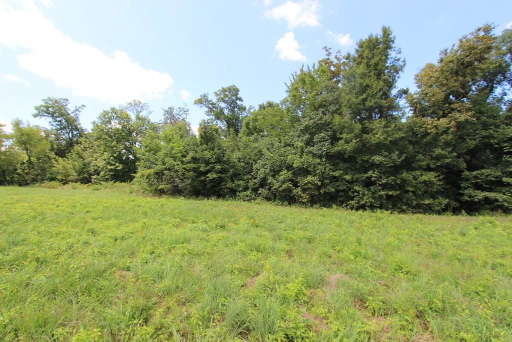 4050 Dave Ward Drive Property Photo 29