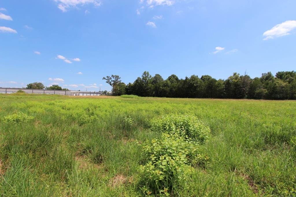 4035 Dave Ward Drive Property Photo 14