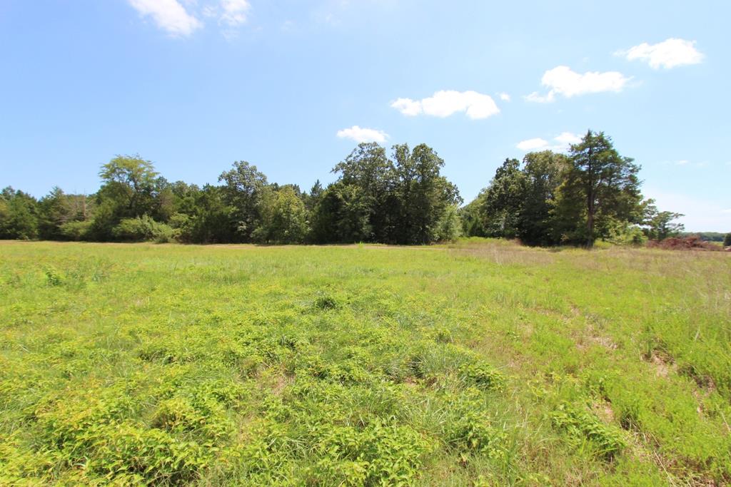 4035 Dave Ward Drive Property Photo 17