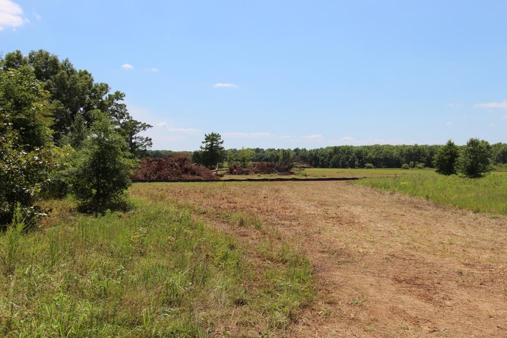 4035 Dave Ward Drive Property Photo 23